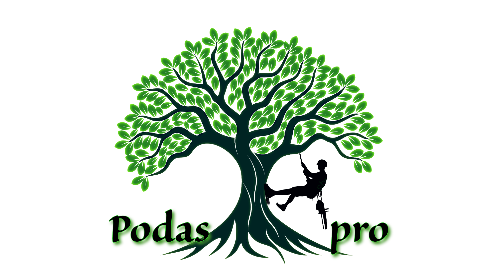 podaspro.com.ar